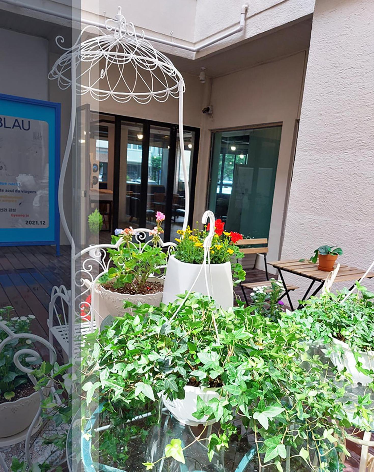 Blau Guesthouse Кёнджу Экстерьер фото